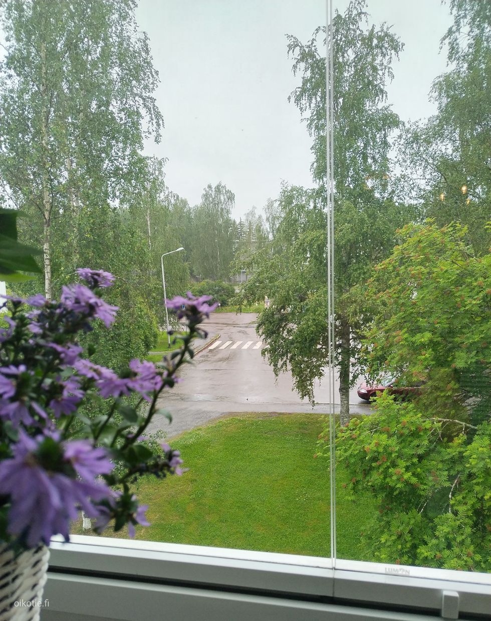 Kohdekuva