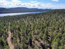 Näkymät Konesjärven ja Otsamon suuntaan