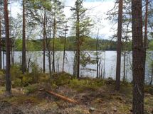 Jämsä, Iso-Liesi, Kuorevesi