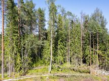Yleiskuvaa tontista