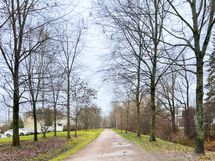 Lähellä on useampi viihtyisä ulkoilualue.