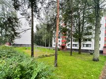 Vehreä piha-alue.