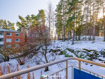 Kirsikkapuun kukintaa odotellessa.