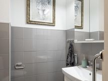 Erillinen wc