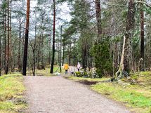 Puisto Laajavuori on talon vieressä.