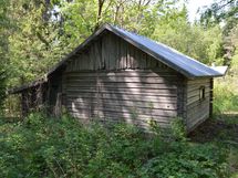 Puuliiteri
