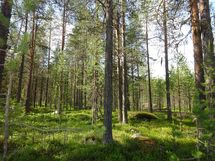 Kemijärvi, Soppela, Ketovaara