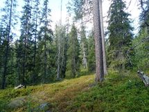 Salla, Sallatunturi, Seitakuja