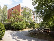 Taloyhtiön pihaa (vehreään aikaan)
