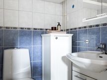 Erillinen wc