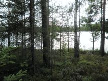 Tila Vehkaniemi RN:o 2:104