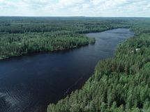 Viitasaari, Muuruejärvi
