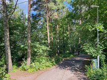 Kuusipuisto vieressä. Matkaa voi jatkaa Keskuspuistoon tai suunnata veden äären puistoteille.