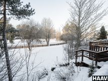 Pihanäkymää etupihalta