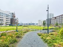 Hyväntoivonpuisto tarjoaa oivat mahdollisuudet ulkoiluun. Myös ulkojää ollut useana vuonna vieressä