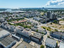 Paratiisilintu ulkokuva