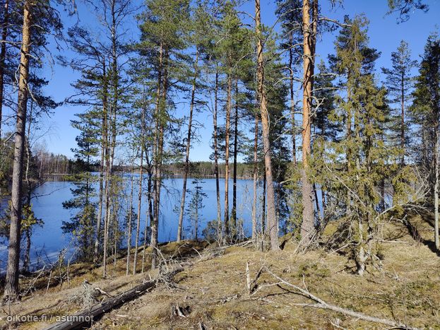 Asuntoilmoituksen kuva