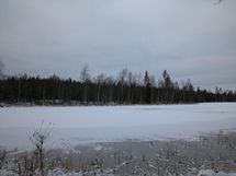 Ylöjärvi, Kuru Ojajärvi
