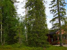 Sodankylä, Luosto