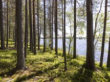 Kuhmo, Iso-Rommakkojärvi, Lautakankaantie