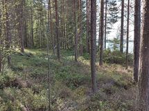 Puolanka, Pirttijrvi
