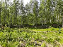 Leppävirta, Osmajärvi, Itkola