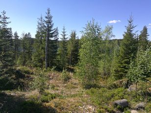 Kohdekuva