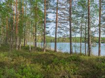 Varkaus, Miehalanjärvi, Sopalanniemenkuja