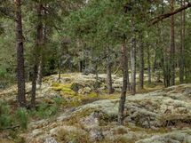 Salo, Särkisalo, Karhumäki