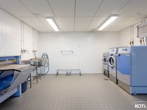 Taloyhtiön pesutupa