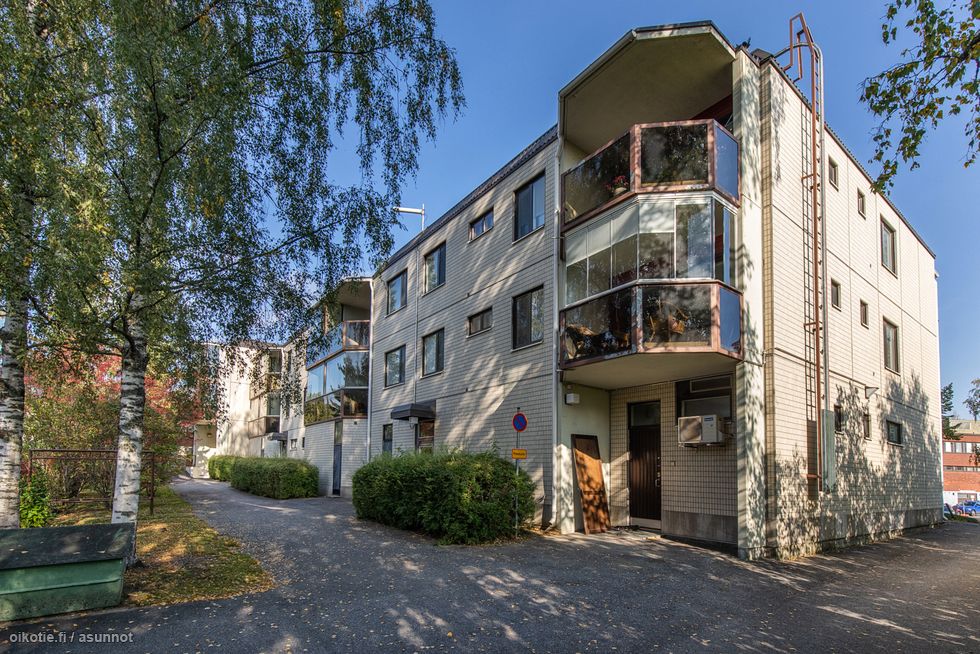 Viehättävä takapihan julkisivu