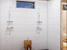 pesuhuone (havainnekuva).