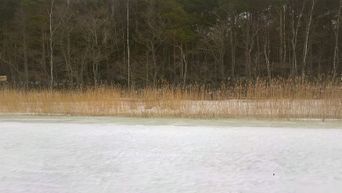 Kohdekuva