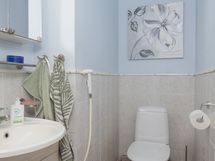 Erillinen wc