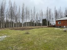 Pihaa
