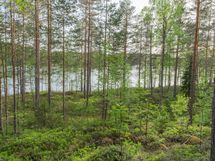 Varkaus, Miehalanjärvi, Sopalanniemenkuja