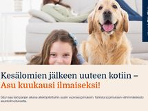 Hämeentie 22 B