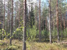 Puolanka, Pirttijärvi