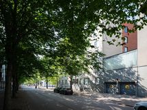 Kaunis puistokatu erinomaisella sijainnilla: lähellä hyvät palvelut ja metro.