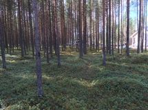 Kemijärvi, Soppela