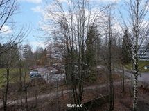 Puistomainen näkymä.