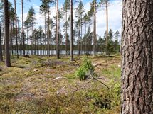 Saarijärvi, Isojärvi