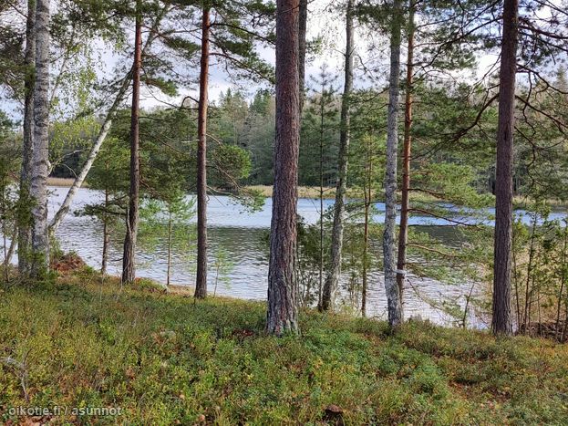 Asuntoilmoituksen kuva