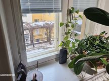 näkymä olohuoneen ikkunasta