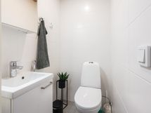 Erillinen wc