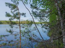 Varkaus, Miehalanjärvi, Sopalanniementie