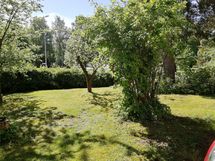 Myyjän ottama kesäkuva