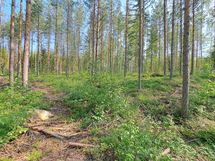 Heinävesi, Suuri Humalajärvi