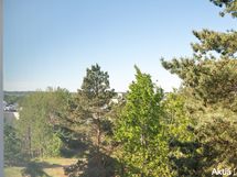 näkymä