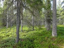 Rovaniemi-Karjalanjärvi